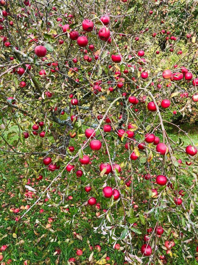 فيلا Apple Tree House Lubin  المظهر الخارجي الصورة