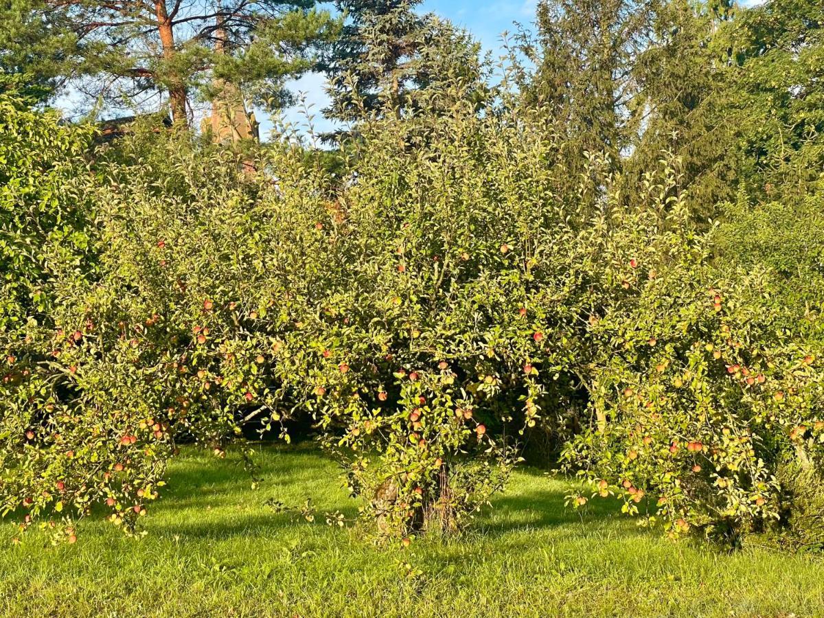 فيلا Apple Tree House Lubin  المظهر الخارجي الصورة